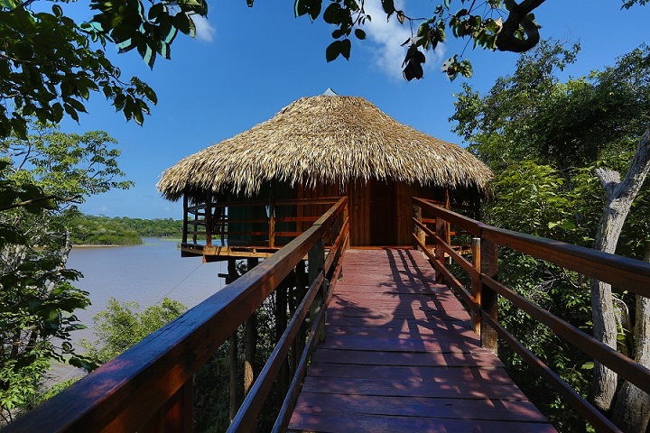 Juma Lodge - Vista_Floresta_Amazônica
